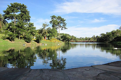 Tour Museu do Inhotim